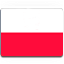 polish